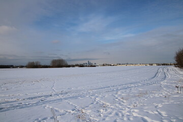 Winter In The Field, Pylypow Wetlands, Edmonton, Alberta