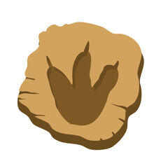 Ancient dinosaur footprints  fossil