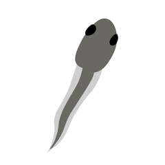 Swimming tadpoles vector