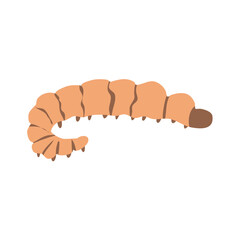 Nature insect. Larva summer