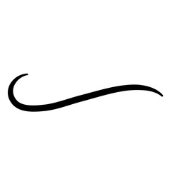 Curly swish tails and sporty plume swirl logo 