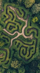 Aerial view of a complex green maze in a garden.