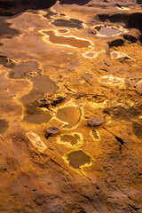 Water reflection in pools of water