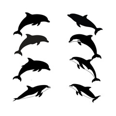 Vector Silhouette  of  Jumping Dolphin