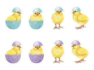 Cute funny yellow chicks Easter collection in pastel colored eggs on white background. Hand drawn vintage style illustration set. Perfect for Easter decor designs, spring decor and rustic-themed art