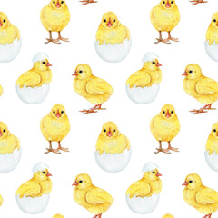 Cute yellow chicks with eggs seamless pattern on white background. Hand drawn vintage style illustration. Perfect for Easter designs, spring decor, baby showers, kids projects and rustic-themed art