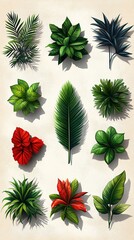 A collection of various green plants and leaves arranged artistically on a light background.