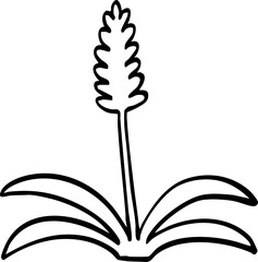 hand drawn cute cartoon plant illustration.