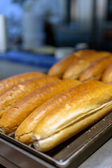 Freshly Baked Artisan Bread Loaves on Display in a Bakery