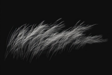 Obraz premium 3D rendered grass swaying in the wind with an alpha channel, offering a seamless effect for compositing with various backgrounds.