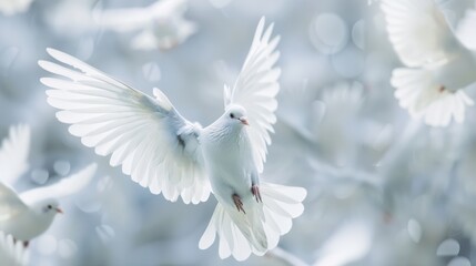 Obraz premium Serene Flight of White Doves in Soft Focus, Capturing the Essence of Freedom, Peace, and Tranquility in a Dreamy Atmosphere of Light and Motion