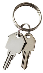Close-Up of Two Metal Keys on a Round Keychain Ring