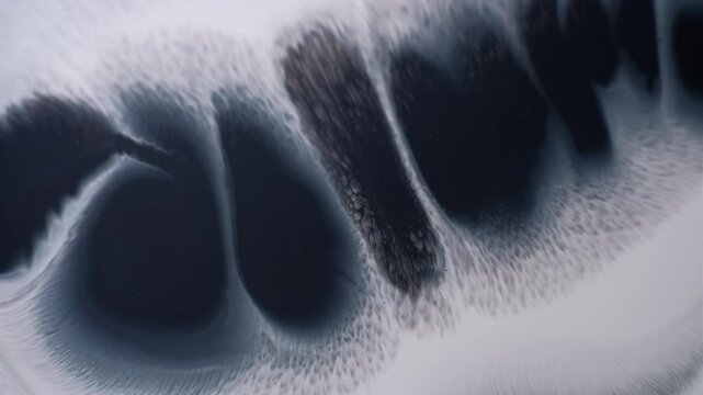 Dirt splatter. Wet blob. Shapeless black gray spot row paint spilling on white paper. Messy spatter texture defocused flow abstract background.