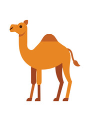 Camel flat illustration on white background

