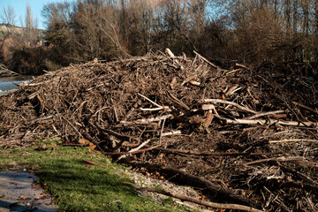 Pile of branches accumulating on riverbank: environmental concern