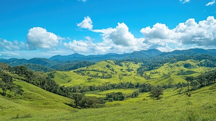 Obraz premium Lush green meadows rolling into hills under a vivid blue sky with scattered white clouds, forming a serene and expansive panoramic banner