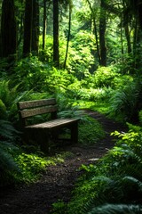 Serene Forest Path with Wooden Bench Surrounded by Lush Greenery