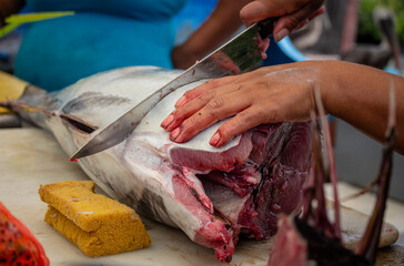 Man cutting a tuna fish for food from Galapagos, Ecuador. cooking, cocina, pesca.