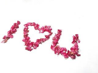 Caption words of love from pink rose petals. Winter wedding and Valentine's day concept