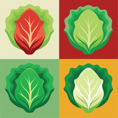 Fresh Lettuce Food set Vector Illustration - Green Vegetable Design for Healthy Eating
