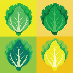 Fresh Lettuce Food set Vector Illustration - Green Vegetable Design for Healthy Eating
