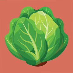 Fresh Lettuce Food Vector Illustration - Green Vegetable Design for Healthy Eating
