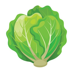 Fresh Lettuce Food Vector Illustration - Green Vegetable Design for Healthy Eating

