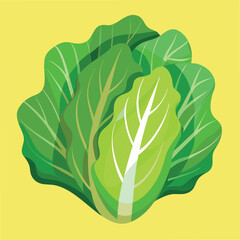 Fresh Lettuce Food Vector Illustration - Green Vegetable Design for Healthy Eating
