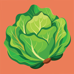 Fresh Lettuce Food Vector Illustration - Green Vegetable Design for Healthy Eating
