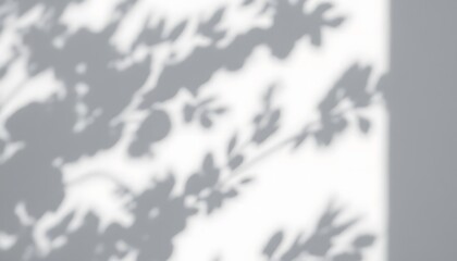 Obraz premium Abstract Shadow Play: Greyscale Leaves on a Wall