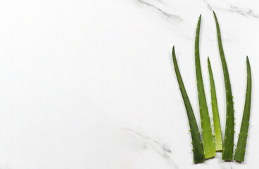 Fresh Aloe Vera Leaves on a White Marble Surface for Natural Remedies and Beauty Treatments Ideal for Health and Wellness Stock Photos
