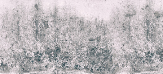 Abstract Textured Background with Muted Tones of Gray and White, Featuring Organic Patterns and Subtle Depth, Ideal for Creative Projects and Design Elements