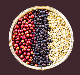 coffee cherries, roasted coffee beans, and green coffee beans in a basket in brown background for marketing