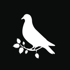  Pigeon symbol of peace