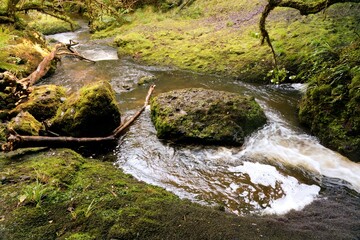 waterfall in the forest with mossy rocks