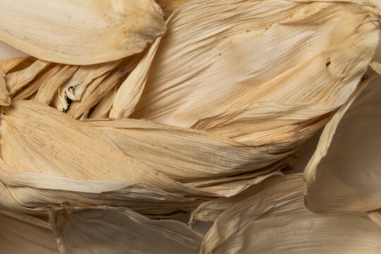 Hojas de ma&iacute;z para tamales mexicanos, ingrediente de la cocina tradicional mexicana para tamales. 
