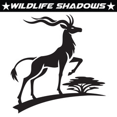 Wildlife Shadow Silhouettes in Nature - Stunning Animal Silhouettes and Shadows Captured in the Wild