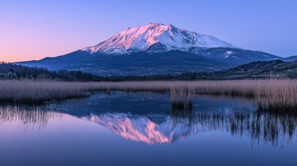 Mount Legnone's snow-covered peak illuminated by the first light of dawn, reflected in calm, glass-like floodwaters at Pian di Spagna.