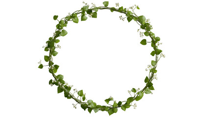Circular frame made of green ivy and small white flowers, natural look. Isolated on transparent or white background cut out