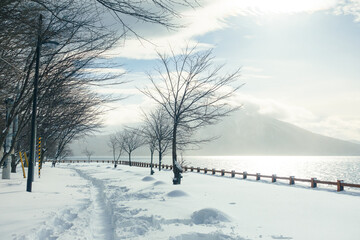 A snow-covered trail beside Lake Shikotsu in Hokkaido, Japan
