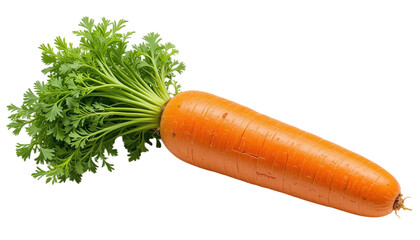 Fresh Carrot with Green Leafy Tops Transparent Background