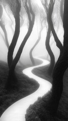 Naklejka premium Winding Path Through Dense Fog in Ancient Forest with Twisted Trees Surrounded by Mystery and Intrigue