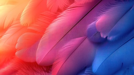 Vibrant multicolored bird feathers background.
