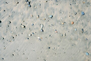 Wet Sand and Vibrant Stones Beach Texture