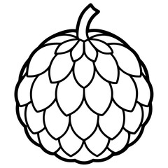 Custard Apple Outline Illustration Vector