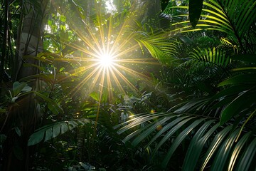 Sunlight bursts through dense tropical foliage, illuminating vibrant green leaves and creating a radiant, starburst effect. The image evokes a sense of warmth and the richness of biodiversity.