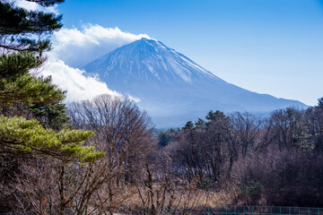 富士山