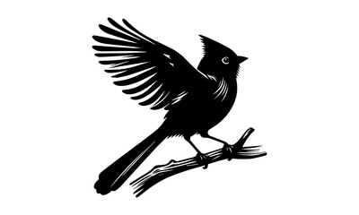 black silhouettes of birds on branches. Vector illustration.