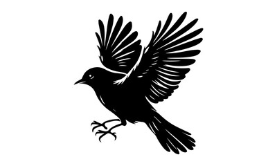 Bird vector art silhouette flying in the sky with nature background and detailed wings.