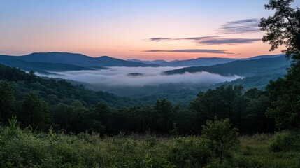 Naklejka premium The calm of dawn settles over misty mountains, as the rising light gently filters through layers of fog.